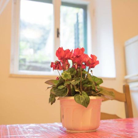 Apartman Juricic Labin  Exteriér fotografie