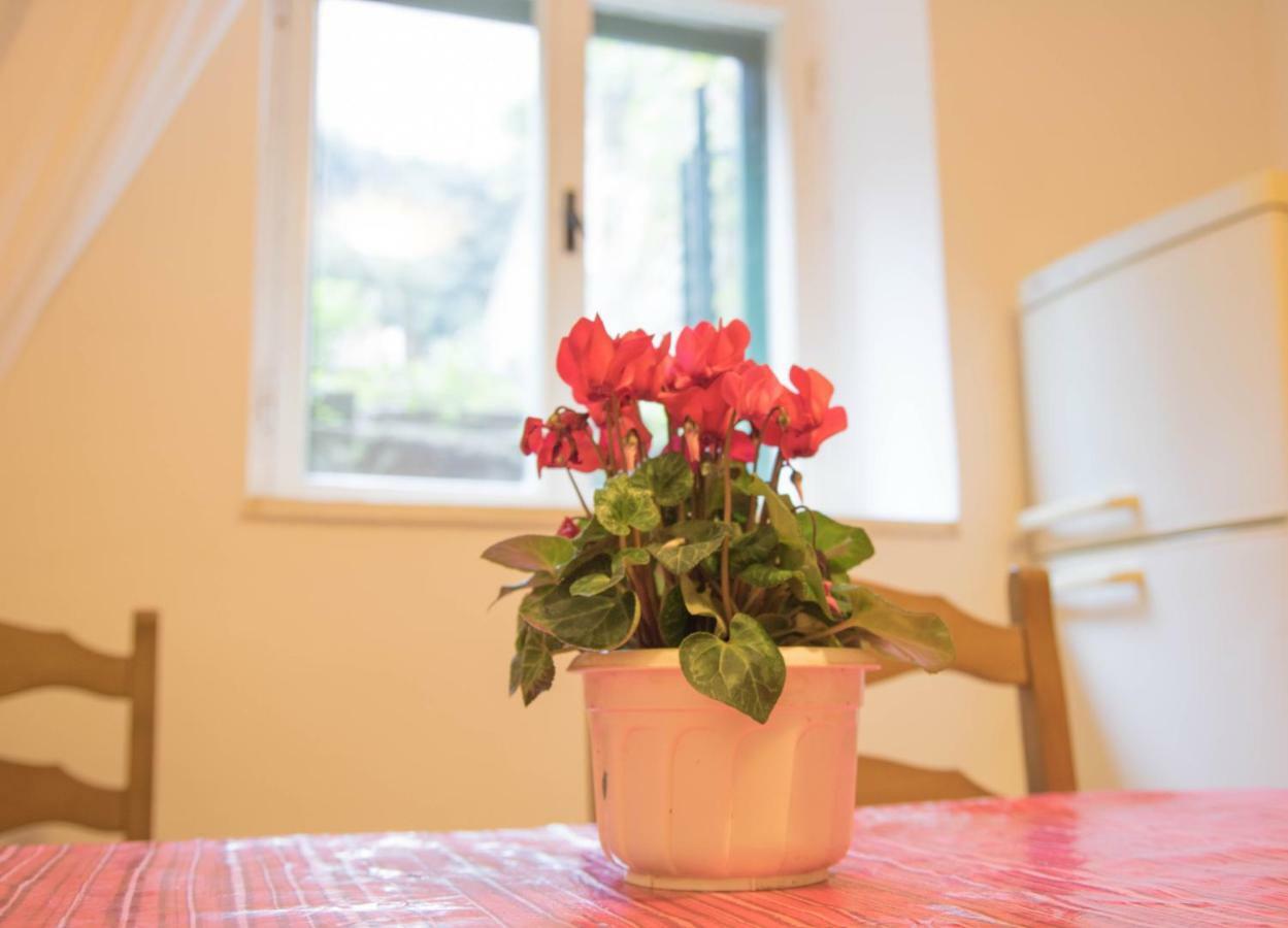 Apartman Juricic Labin  Exteriér fotografie